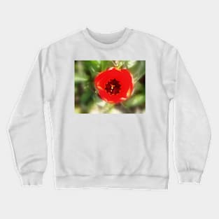 top of the tulip Crewneck Sweatshirt